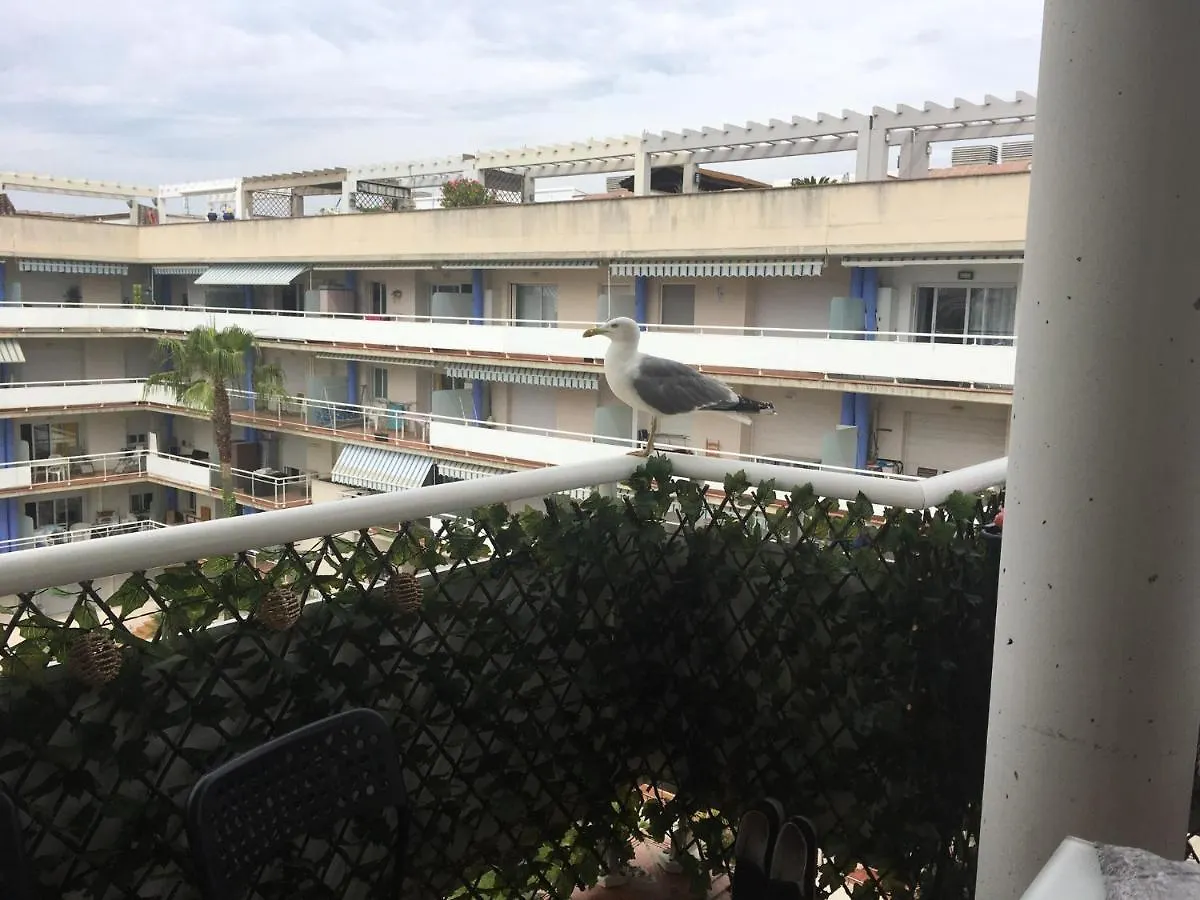 Superbe Appartement Avec Solarium Et Piscine Communautaire Roses 0*,  Spain